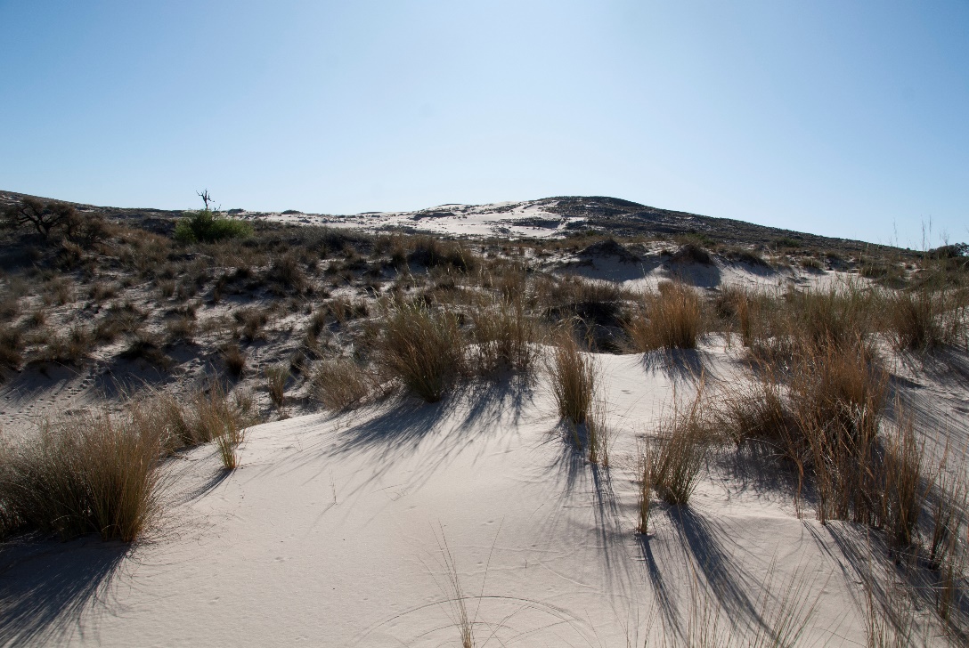Witsand